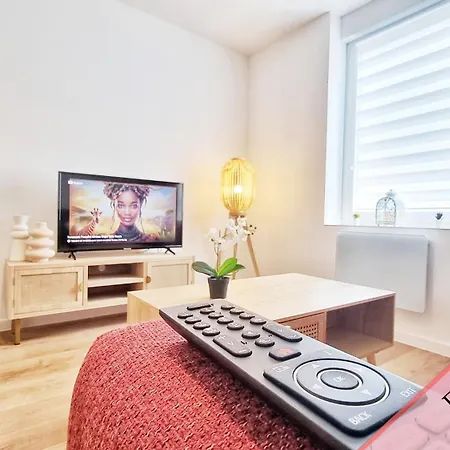 Les Suites Mulhousiennes - Charme & Serenite Mulhouse Exterior photo
