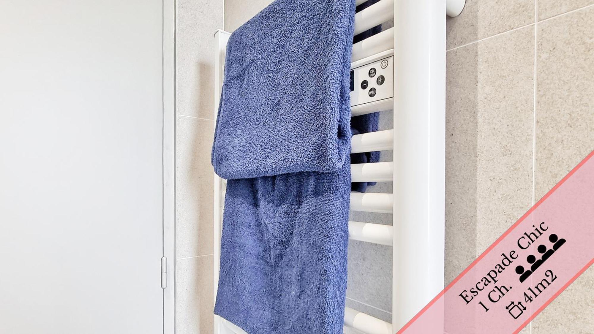 Apartment Les Mulhousiennes - Charme & Serenite Mulhouse