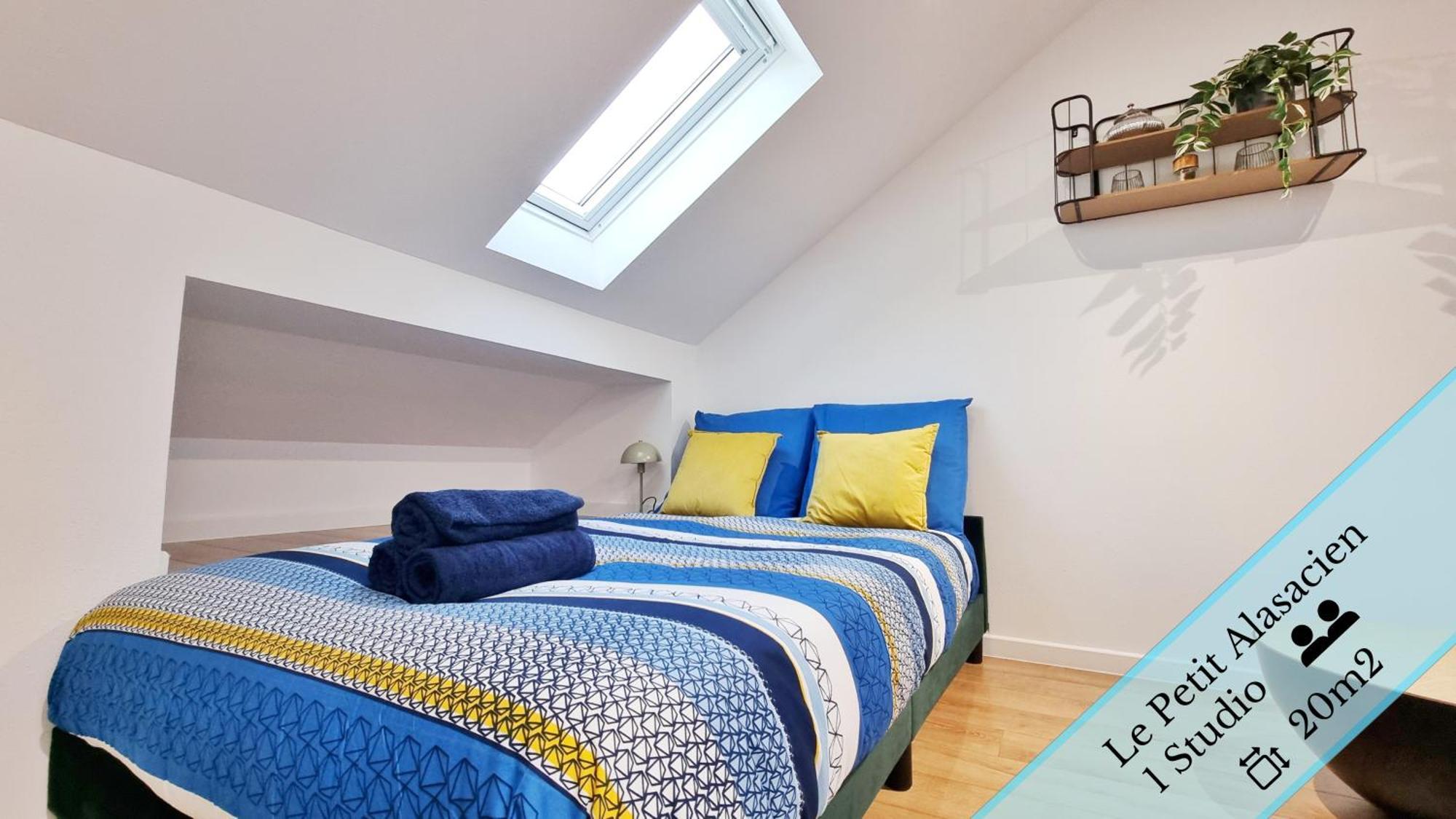 Apartment Les Mulhousiennes - Charme & Serenite