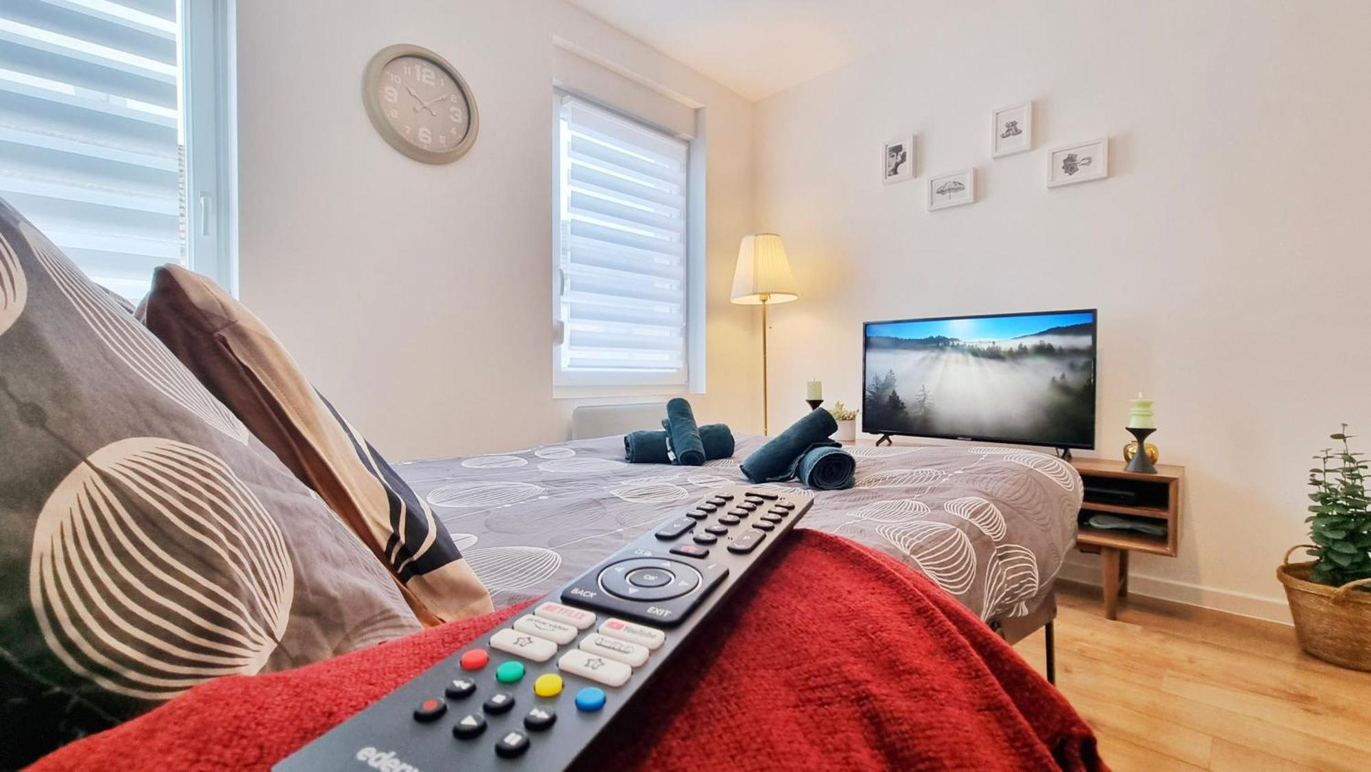 Apartment Les Mulhousiennes - Charme & Serenite *