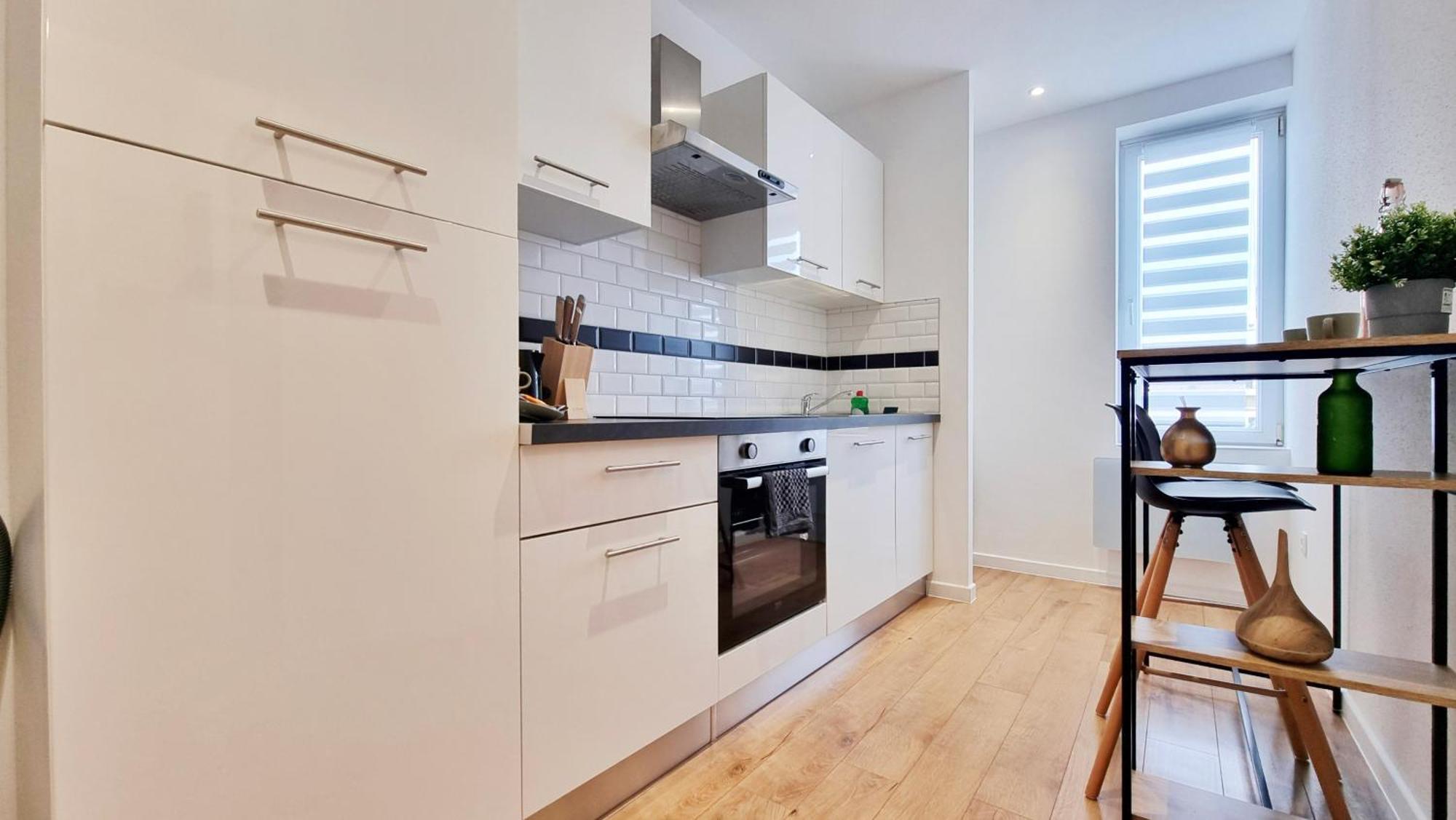 Apartment Les Mulhousiennes - Charme & Serenite Mulhouse